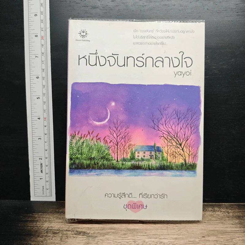 หนึ่งจันทร์กลางใจ รูปที่ 1