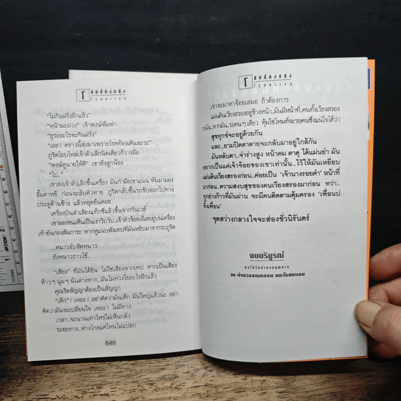 โสมส่องแสง 2 เล่มจบ - โรสลาเรน รูปที่ 9