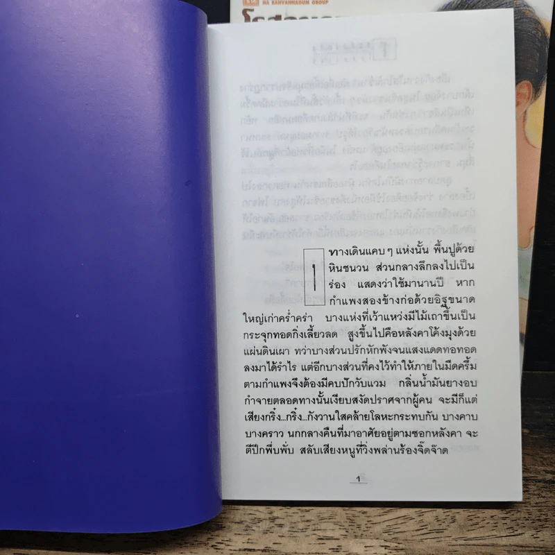 โสมส่องแสง 2 เล่มจบ - โรสลาเรน รูปที่ 7