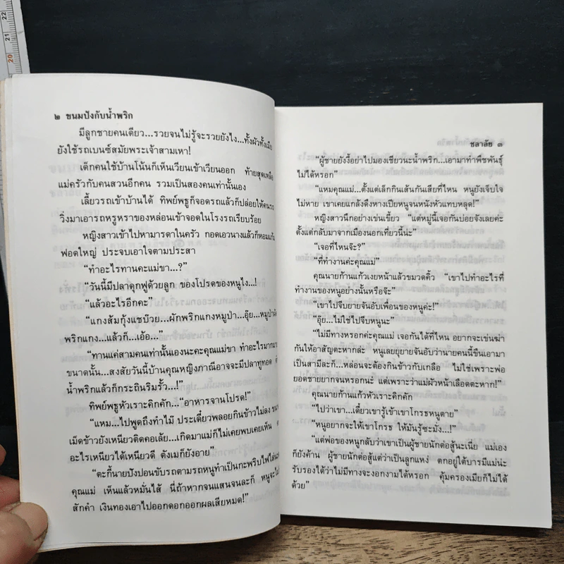 ขนมปังกับน้ำพริก - ชลาลัย รูปที่ 7