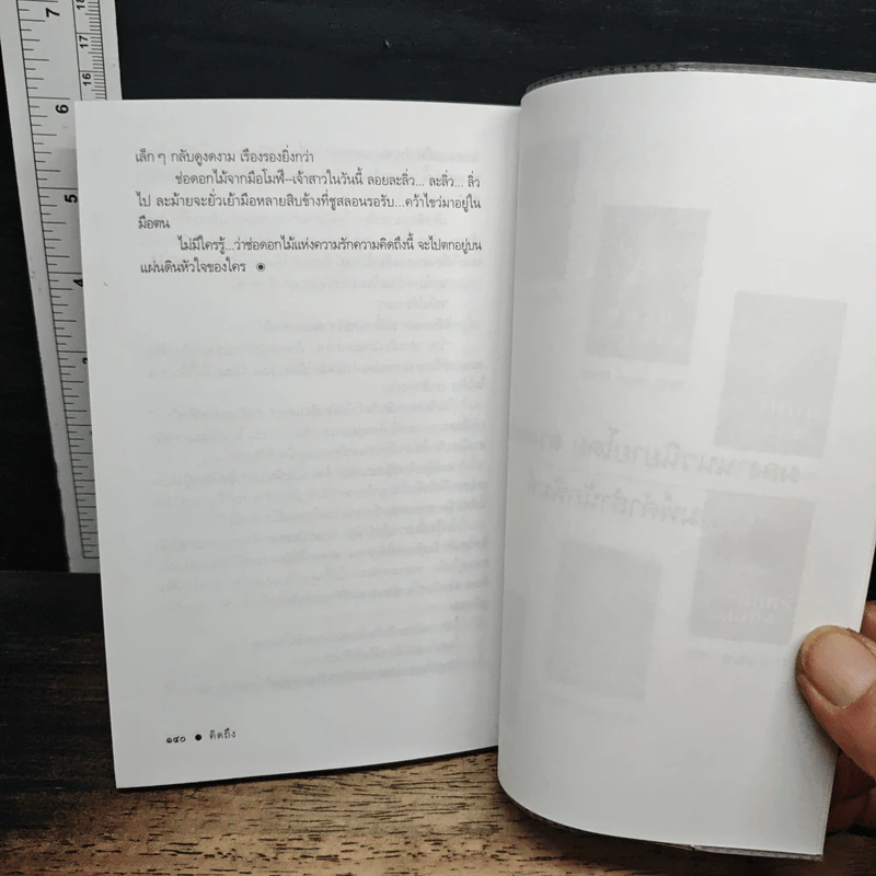 คิดถึง - ดวงตะวัน รูปที่ 8