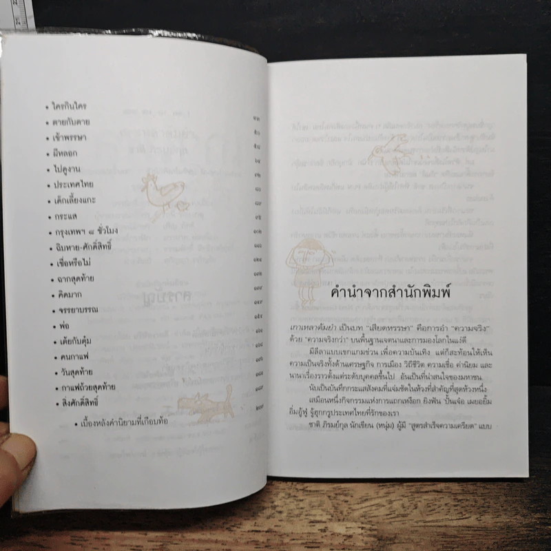 เกาเหลาต้มยำ รูปที่ 7