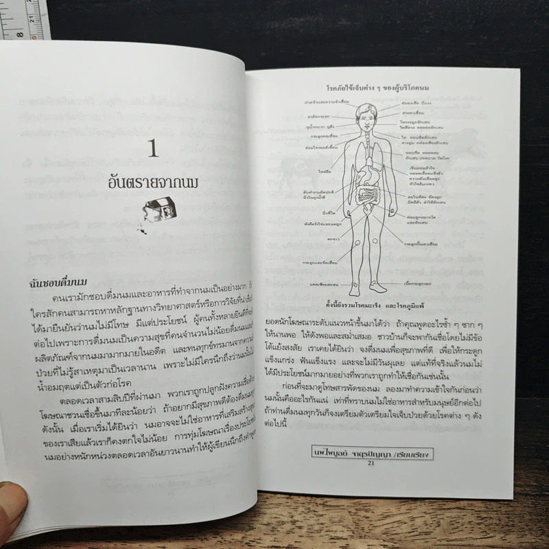 นม มัจจุราชเงียบ - นพ.ไพบูลย์ จาตุรปัญญา รูปที่ 8