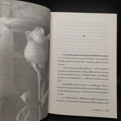 กุหลาบรัตติกาล - พงศกร รูปที่ 6