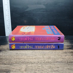 ขอบฟ้าใหม่ 2 เล่มจบ - กฤษณา อโศกสิน รูปที่ 3