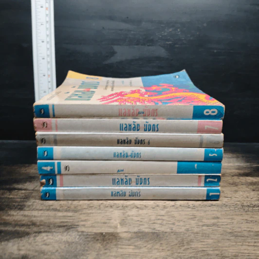 แลหลังแดนมังกร เล่ม 1-2, 4-8 - ถาวร สิกขโกศล รูปที่ 2