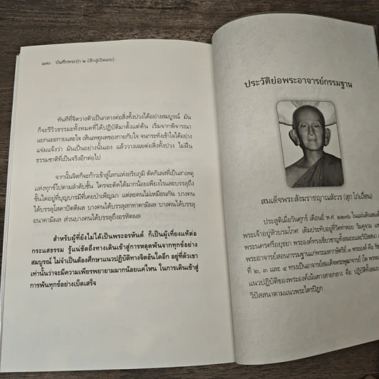 บันทึกพระป่า 2 ลึกสู่เปิดเผย - ส.ชิโนรส รูปที่ 10