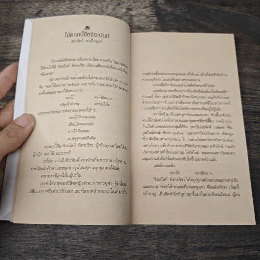 ใบไม้ที่หายไป - จิระนันท์ พิตรปรีชา รูปที่ 7