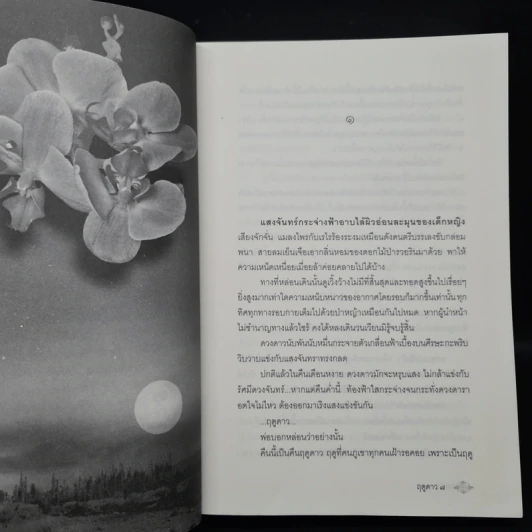 ฤดูดาว - พงศกร รูปที่ 6