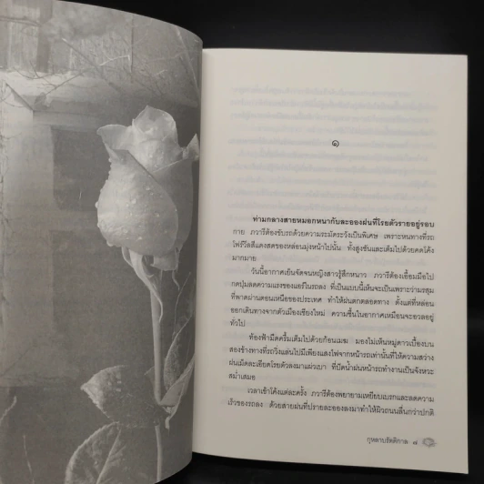 กุหลาบรัตติกาล - พงศกร รูปที่ 6
