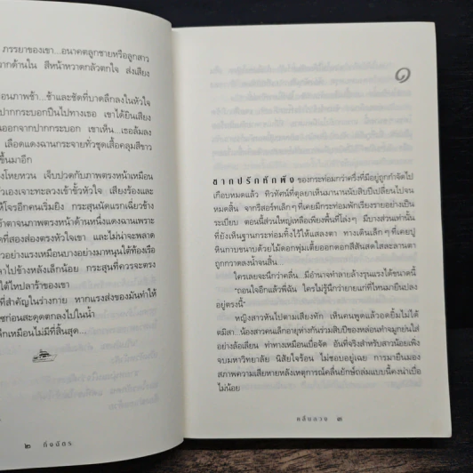 คลื่นลวง - กิ่งฉัตร รูปที่ 7