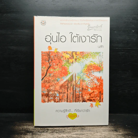 อุ่นไอ ใต้เงารัก - นลัท รูปที่ 1