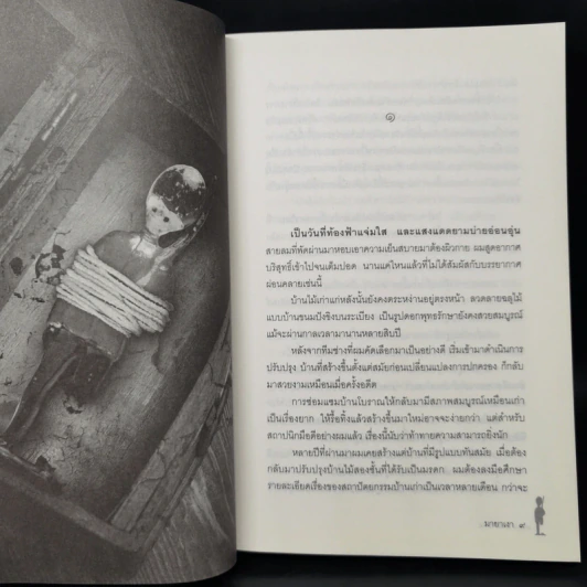 มายาเงา - พงศกร รูปที่ 9