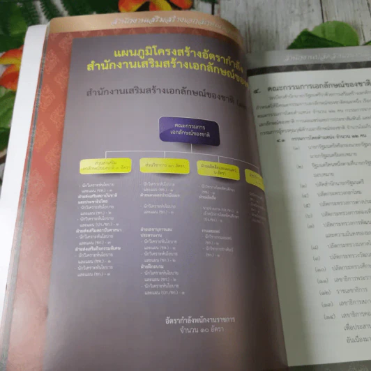 รายงานประจำปี สำนักงานเสริมสร้างเอกลักษณ์ของชาติ พ.ศ.2555 รูปที่ 12
