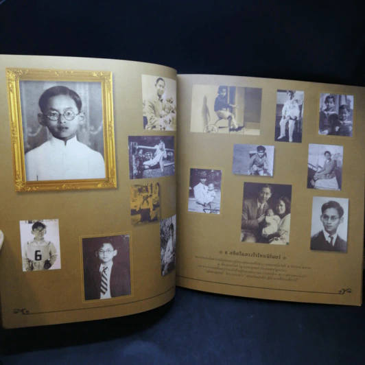 ธ สถิตในดวงใจไทยนิรันดร์ รูปที่ 10
