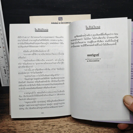 ไม้เมือง 2 เล่มจบ - โสภาค สุวรรณ รูปที่ 8