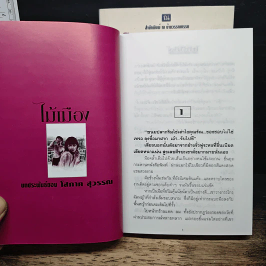 ไม้เมือง 2 เล่มจบ - โสภาค สุวรรณ รูปที่ 6