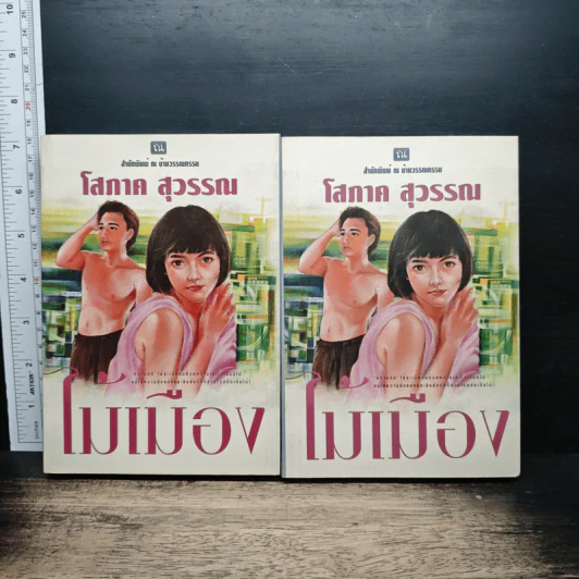ไม้เมือง 2 เล่มจบ - โสภาค สุวรรณ รูปที่ 1