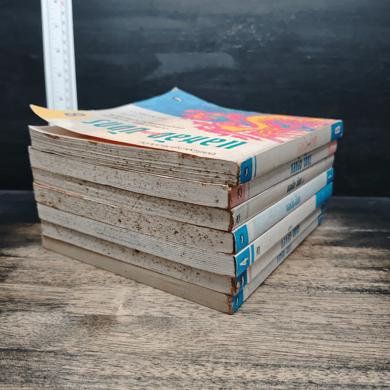 แลหลังแดนมังกร เล่ม 1-2, 4-8 - ถาวร สิกขโกศล รูปที่ 4
