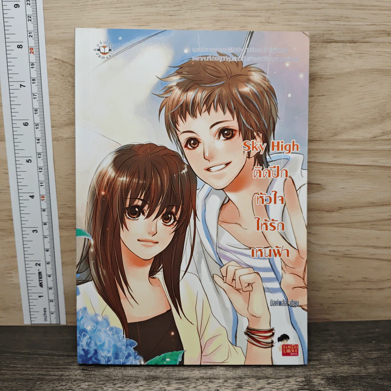 Sky High ติดปีกหัวใจให้รักเหินฟ้า - มิลค์พลัส รูปที่ 1