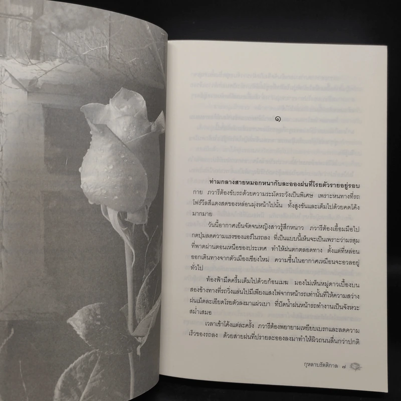 กุหลาบรัตติกาล - พงศกร รูปที่ 6