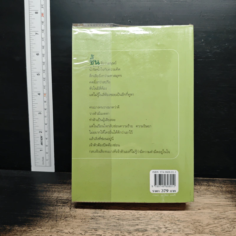 ในเรือนใจ - กิ่งฉัตร รูปที่ 2