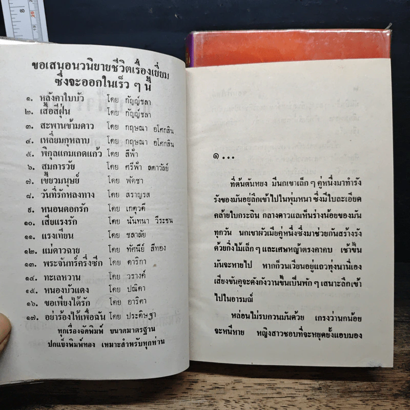 ขอบฟ้าใหม่ 2 เล่มจบ - กฤษณา อโศกสิน รูปที่ 7