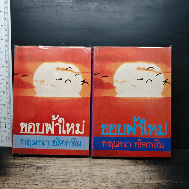 ขอบฟ้าใหม่ 2 เล่มจบ - กฤษณา อโศกสิน รูปที่ 1