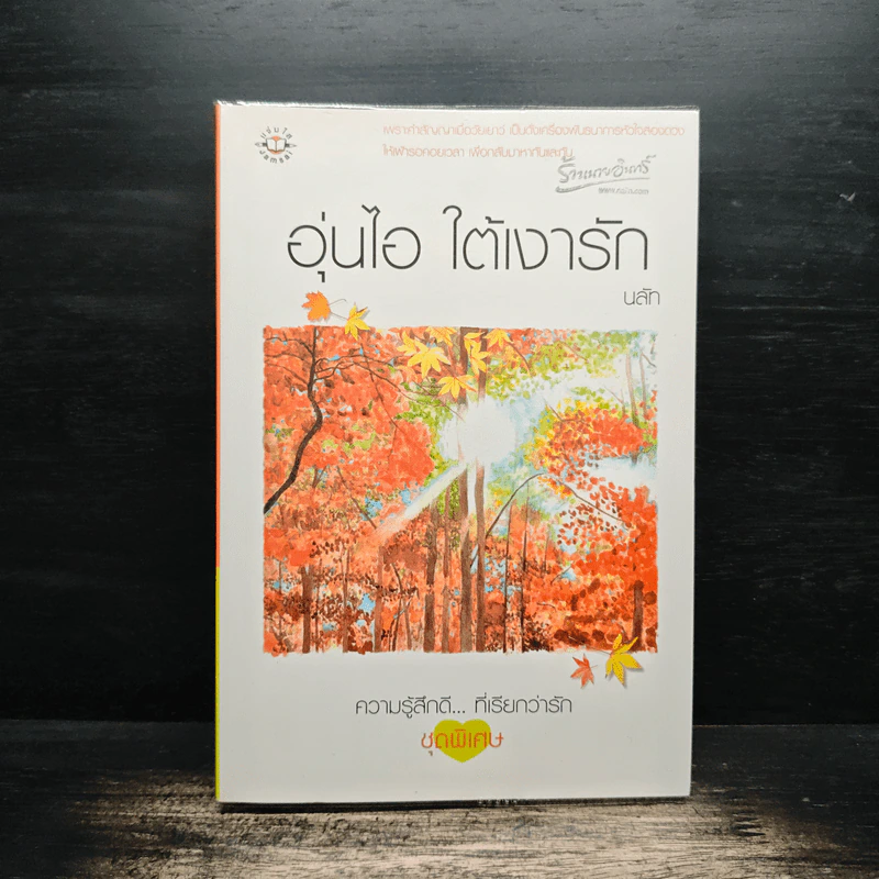 อุ่นไอ ใต้เงารัก - นลัท รูปที่ 1