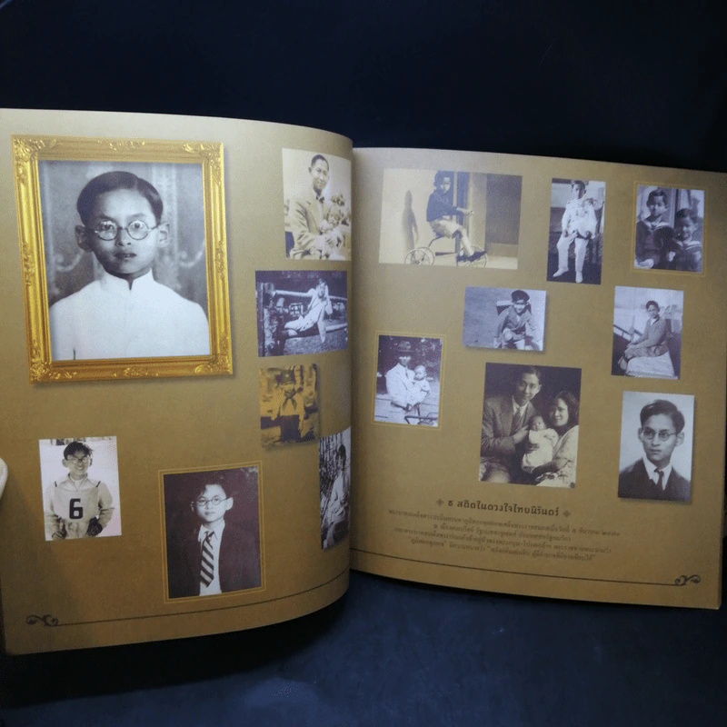 ธ สถิตในดวงใจไทยนิรันดร์ รูปที่ 10