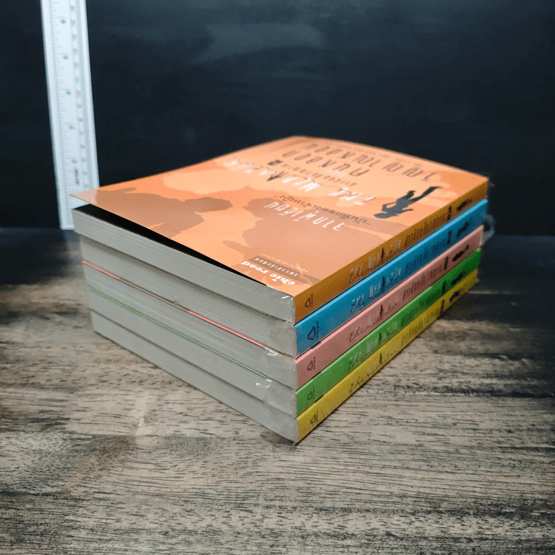 The Mediator สาวน้อยสื่อวิญญาณ เล่ม 1-5 รูปที่ 4