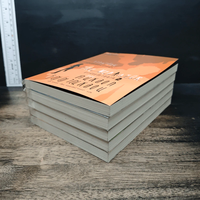 The Mediator สาวน้อยสื่อวิญญาณ เล่ม 1-5 รูปที่ 3