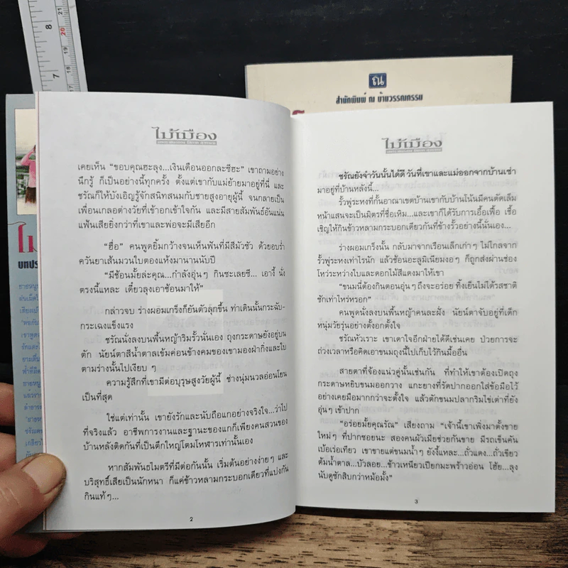 ไม้เมือง 2 เล่มจบ - โสภาค สุวรรณ รูปที่ 7
