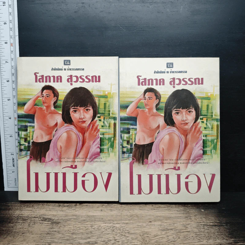 ไม้เมือง 2 เล่มจบ - โสภาค สุวรรณ รูปที่ 1
