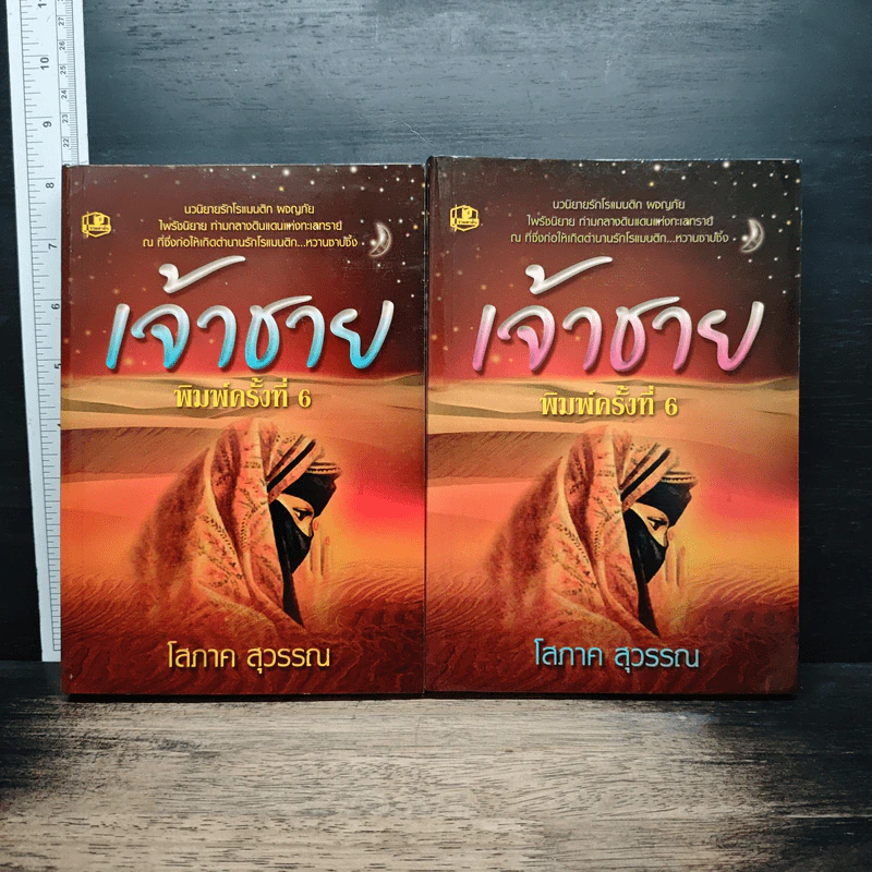 เจ้าชาย 2 เล่มจบ - โสภาค สุวรรณ รูปที่ 1