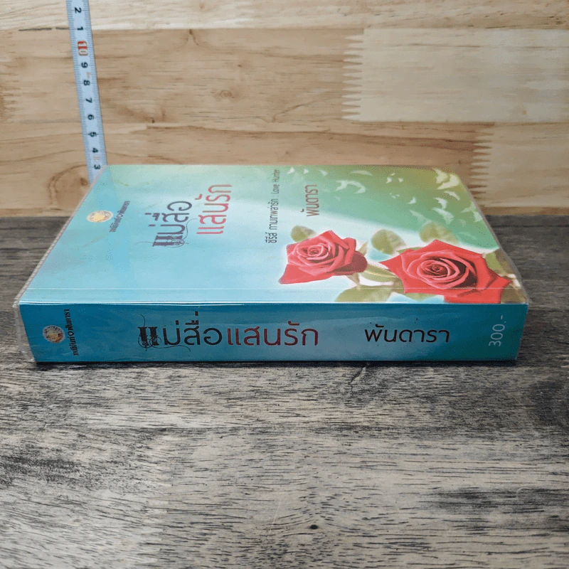 แม่สื่อแสนรัก - พันดารา รูปที่ 2