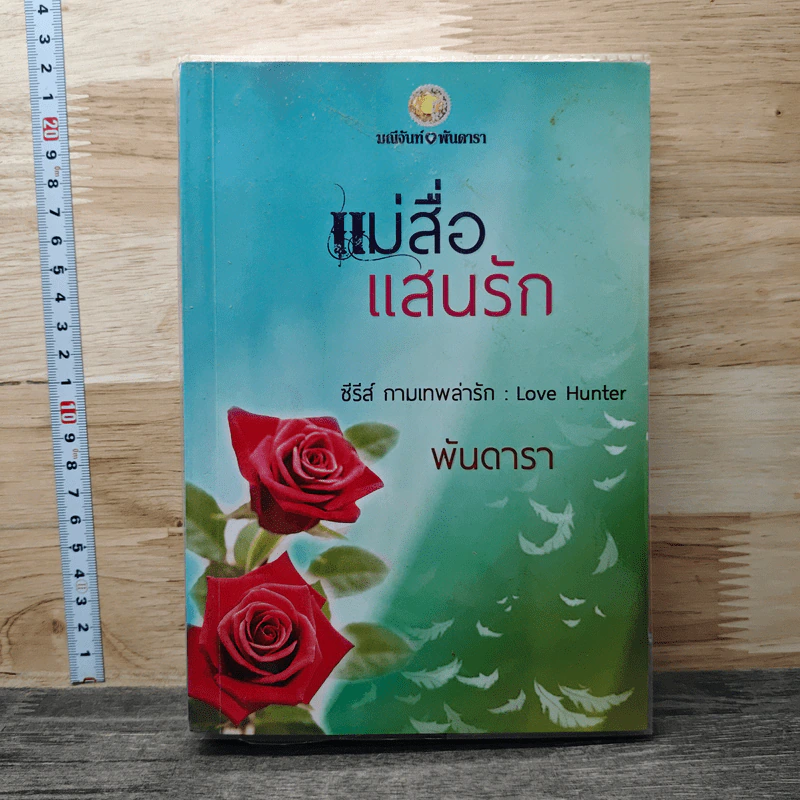 แม่สื่อแสนรัก - พันดารา รูปที่ 1