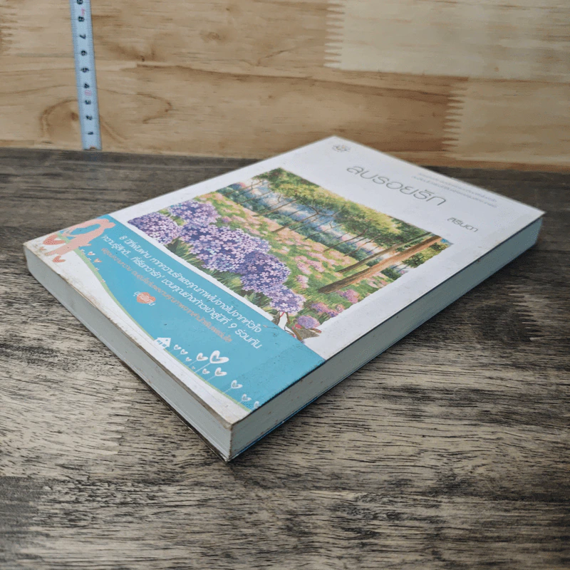 หนังสือ ลบรอยรัก รูปที่ 3