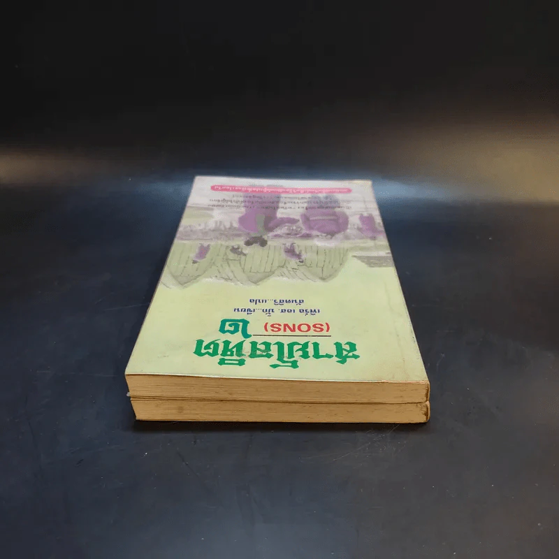 สายโลหิต (Sons) 2 เล่มจบ - เพิร์ล เอส.บั๊ก เขียน สันตสิริ แปล รูปที่ 6