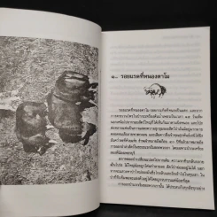 ป่า...แห่งความหลัง - ชาลี เอี่ยมกระสินธุ์ รูปที่ 7