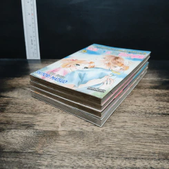 ระหว่างท้องฟ้าและทะเลมีสองใจผูกพัน 4 เล่มจบ รูปที่ 3