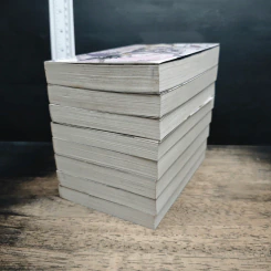 อัศวินมือใหม่ มังกรป้ายแดง เล่ม 1-8 รูปที่ 3