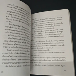 แสงตะวันในสายหมอก รูปที่ 9