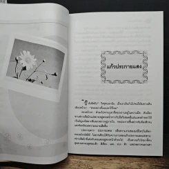 คืนสว่าง รูปที่ 8