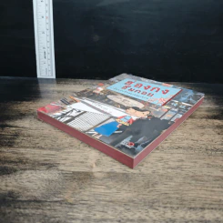ฮ่องกงอึ่มกอย 7 เดือนกับอีกหลายหลายวัน - ม.ย.ร.มะลิ รูปที่ 4