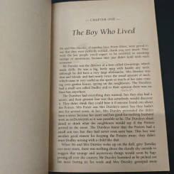 Harry Potter and the Philosopher's Stone รูปที่ 8