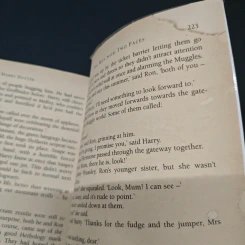 Harry Potter and the Philosopher's Stone รูปที่ 9