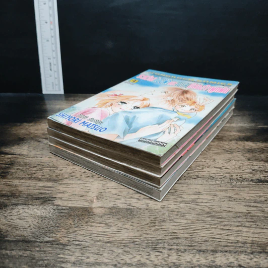 ระหว่างท้องฟ้าและทะเลมีสองใจผูกพัน 4 เล่มจบ รูปที่ 3