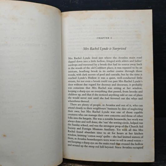 Anne of Green Gables - L.M.Montgomery รูปที่ 7