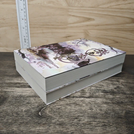 Boxset สามชาติสามภพ ป่าท้อสิบหลี่ 2 เล่มจบ - ถังซีกงจื่อ, หลินโหม่ว รูปที่ 6